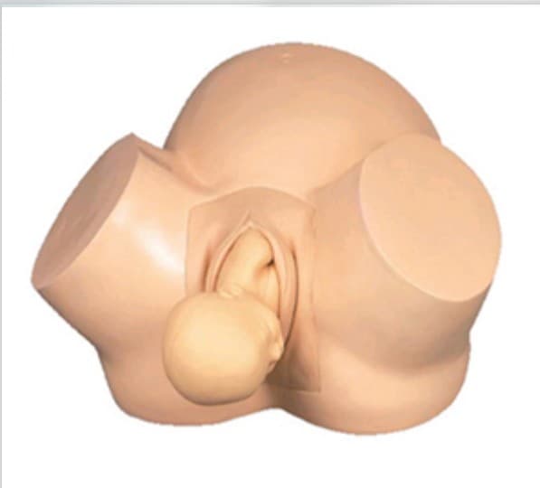 BASSIN MODELE FORMATION ACCOUCHEMENT+ NOUVEAU NE — vue 1
