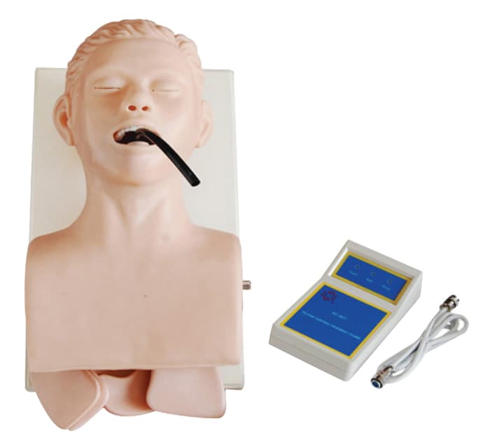 MODELE DE FORMATION & D’INTUBATION CHEZ L’ADULTE — vue 1
