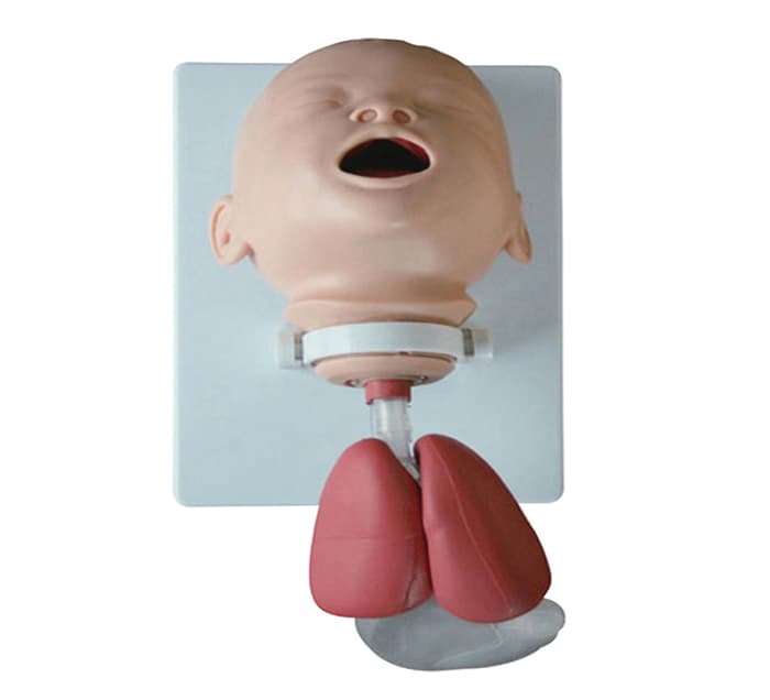 MODELE DE FORMATION & D’INTUBATION DU NOURRISSON — vue 1